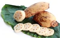 Người bị viêm đại tràng nên ăn gì?