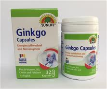 Ginkgo Capsules
