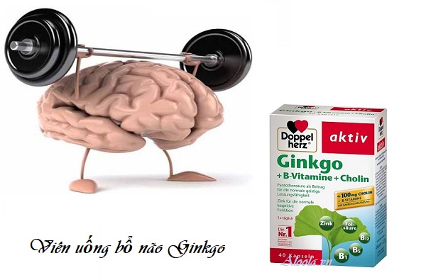 Viên uống bổ não Ginkgo